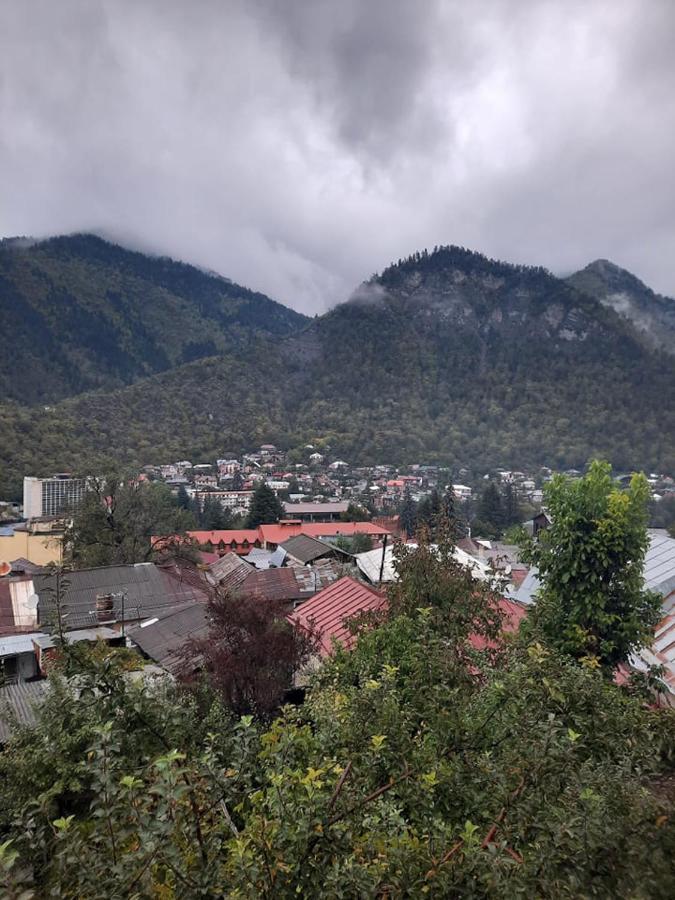 Guest House Bochora Bordzjomi Buitenkant foto
