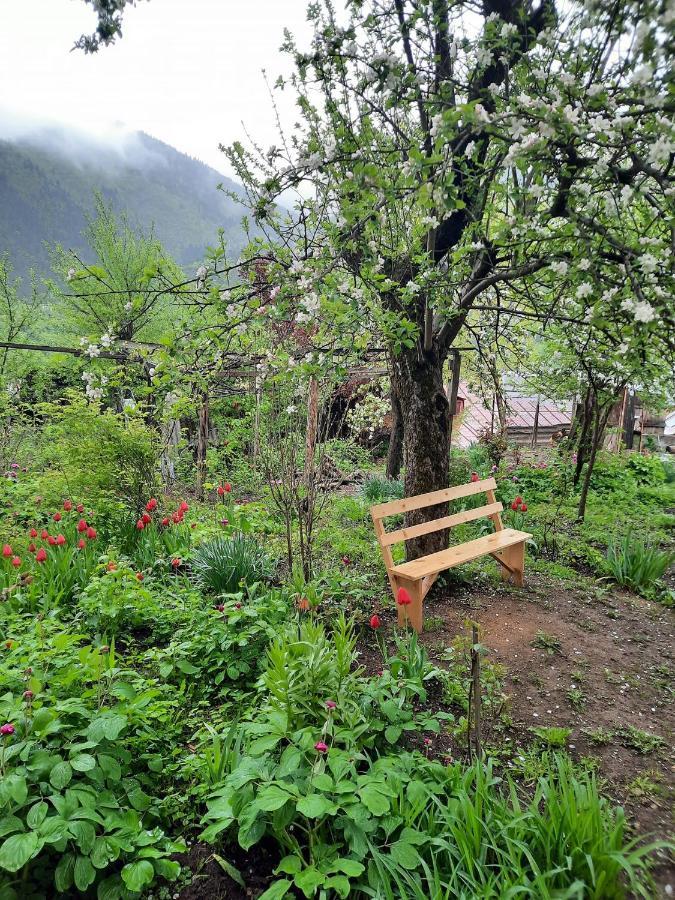 Guest House Bochora Bordzjomi Buitenkant foto
