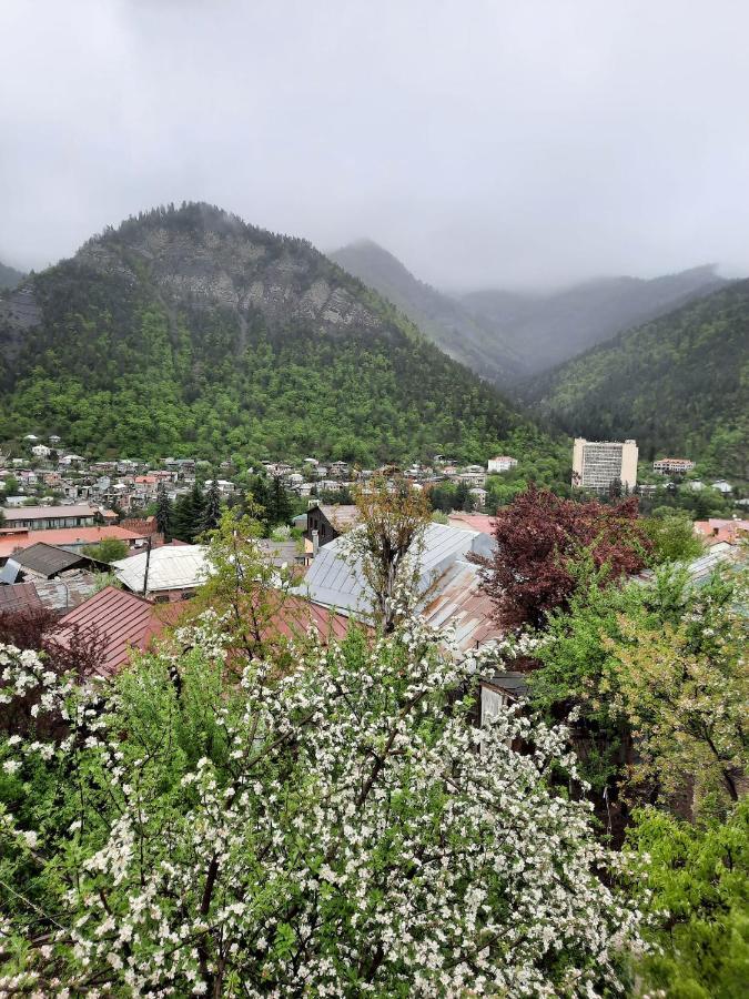 Guest House Bochora Bordzjomi Buitenkant foto