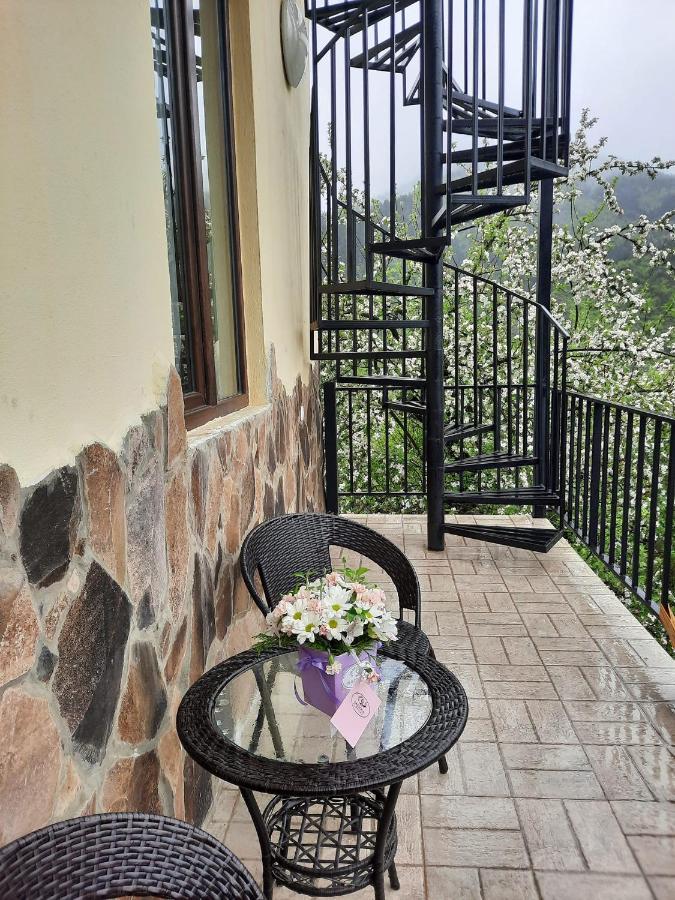 Guest House Bochora Bordzjomi Buitenkant foto