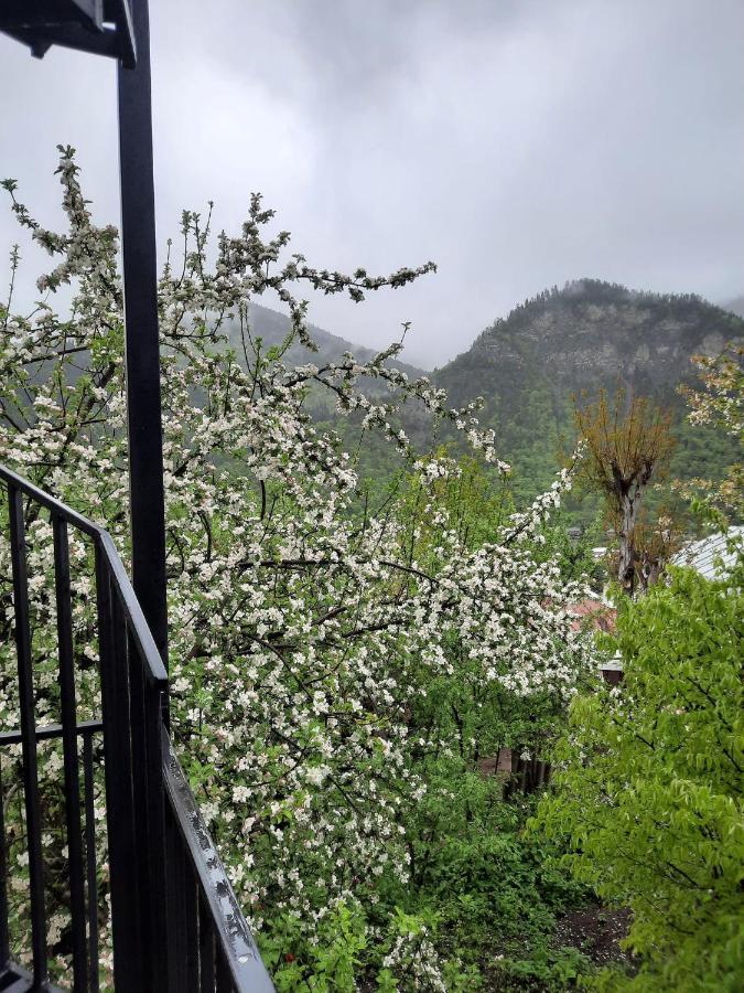 Guest House Bochora Bordzjomi Buitenkant foto