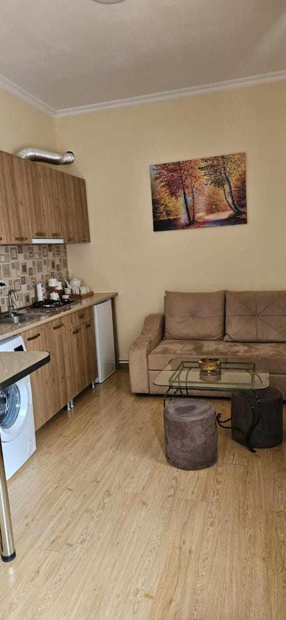 Guest House Bochora Bordzjomi Buitenkant foto